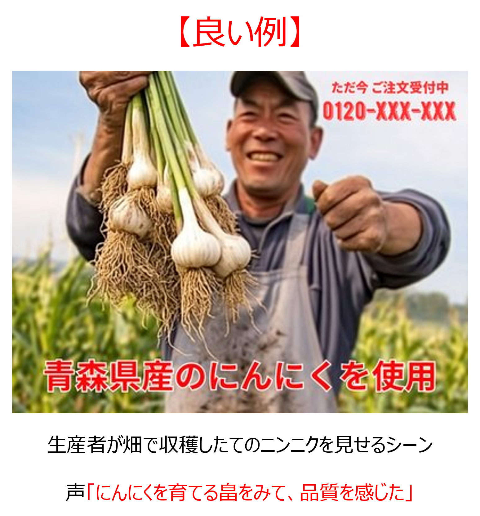 成分・メカニズム示唆1良い例