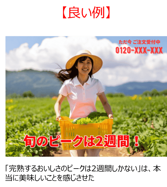 おいしさ現地レポート示唆2