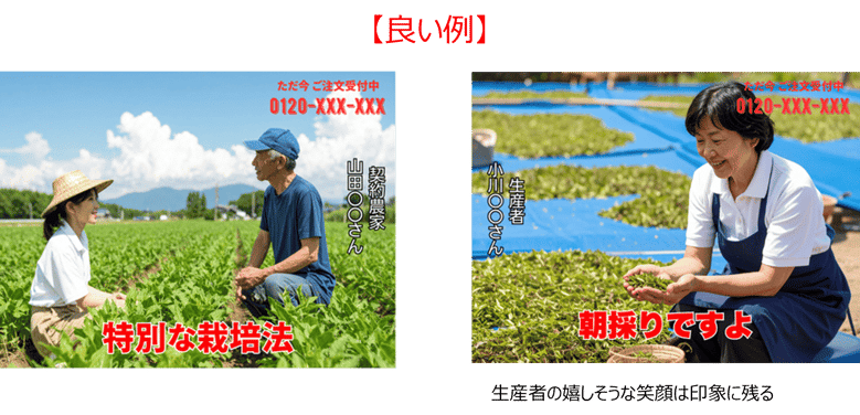 現地レポート示唆1