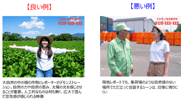 現地レポート示唆2