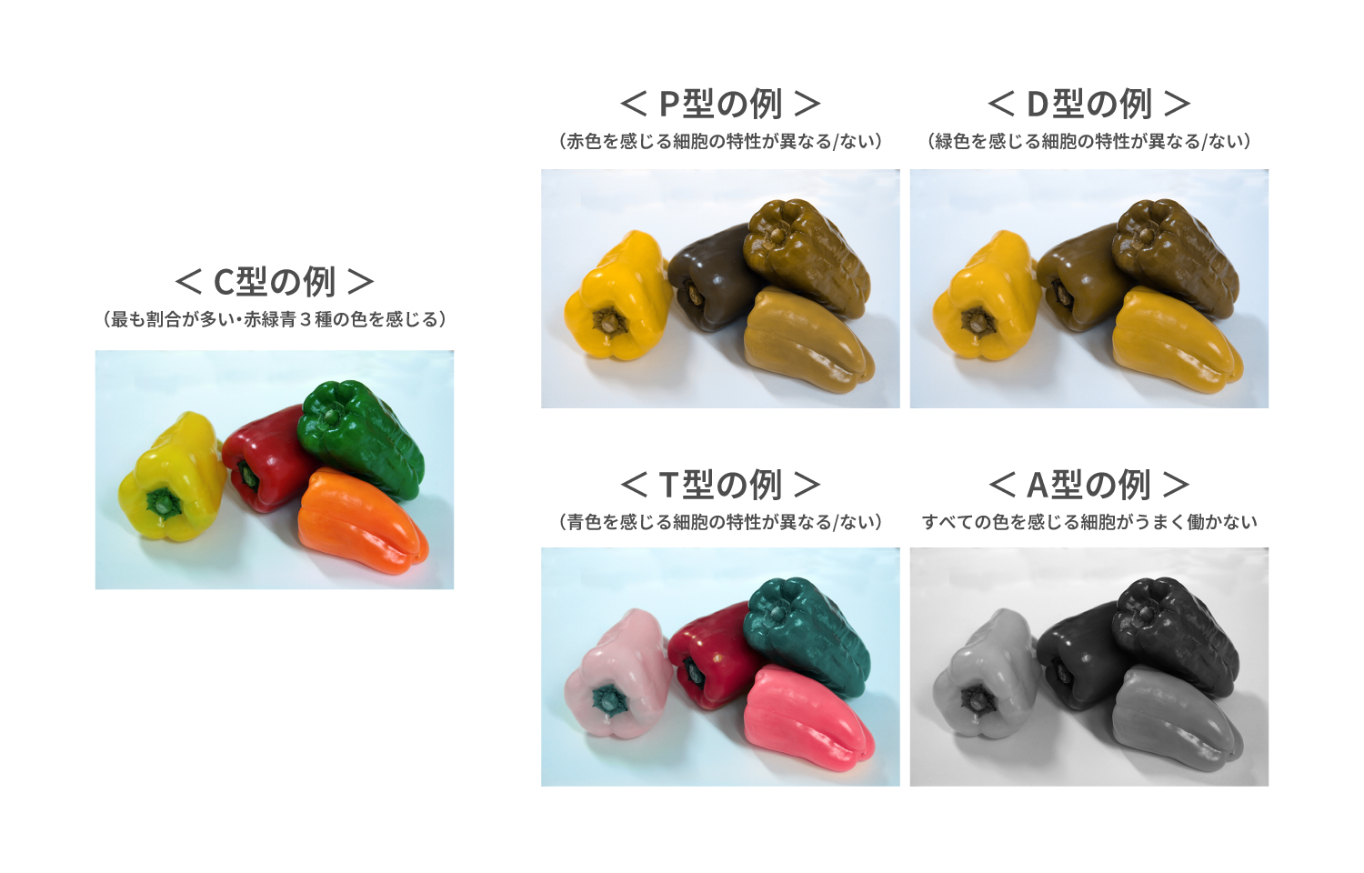 ピーマンの見え方の違い