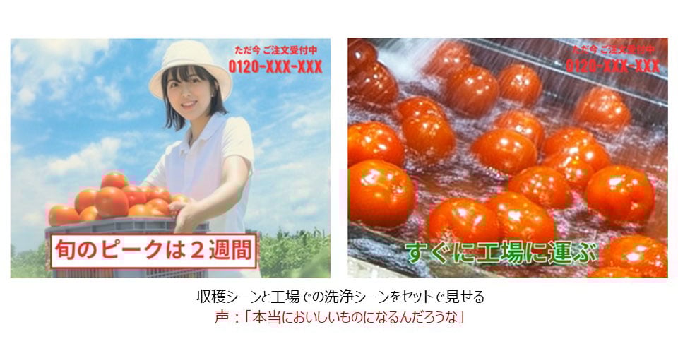 現地レポート_産地と工場を一緒に映す様子