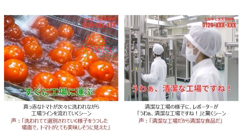 22.現地レポート_工場の清潔感